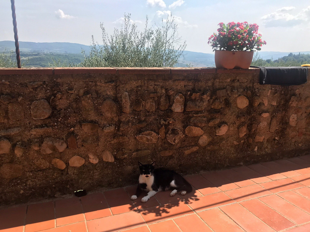 Agriturismo la Villa Romita主图
