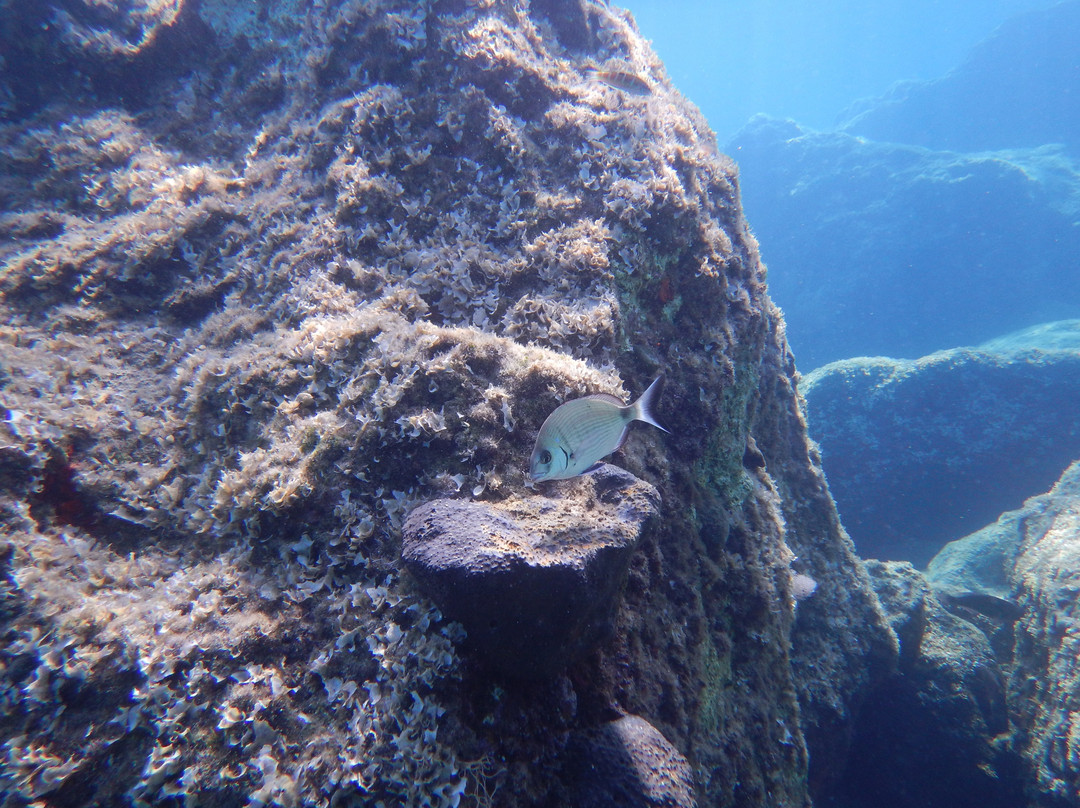 Ikaria Diving Watersports景点图片