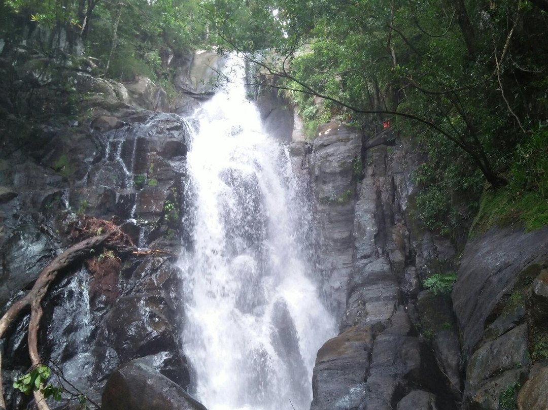 Lankagama Duwili Ella Falls景点图片