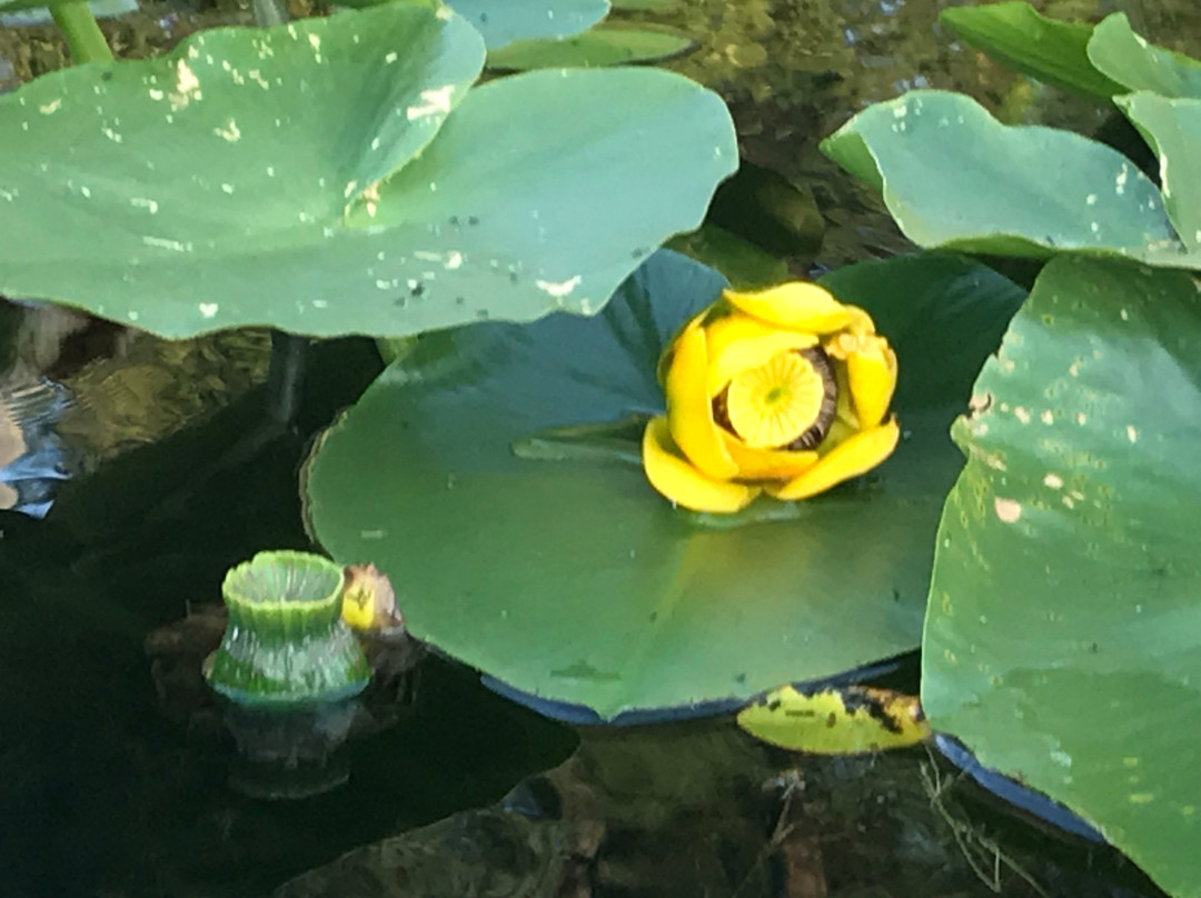 Round Lake State Park-Sagle必去景点