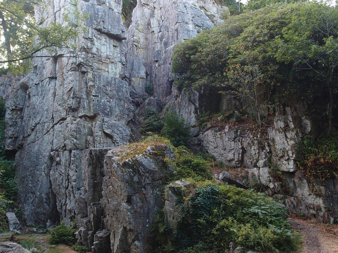 Petite Cascade de Mortain景点图片