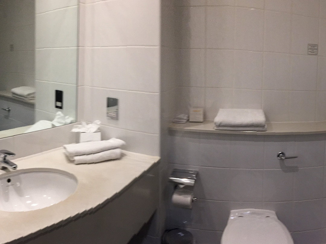 Maldron Hotel Limerick主图