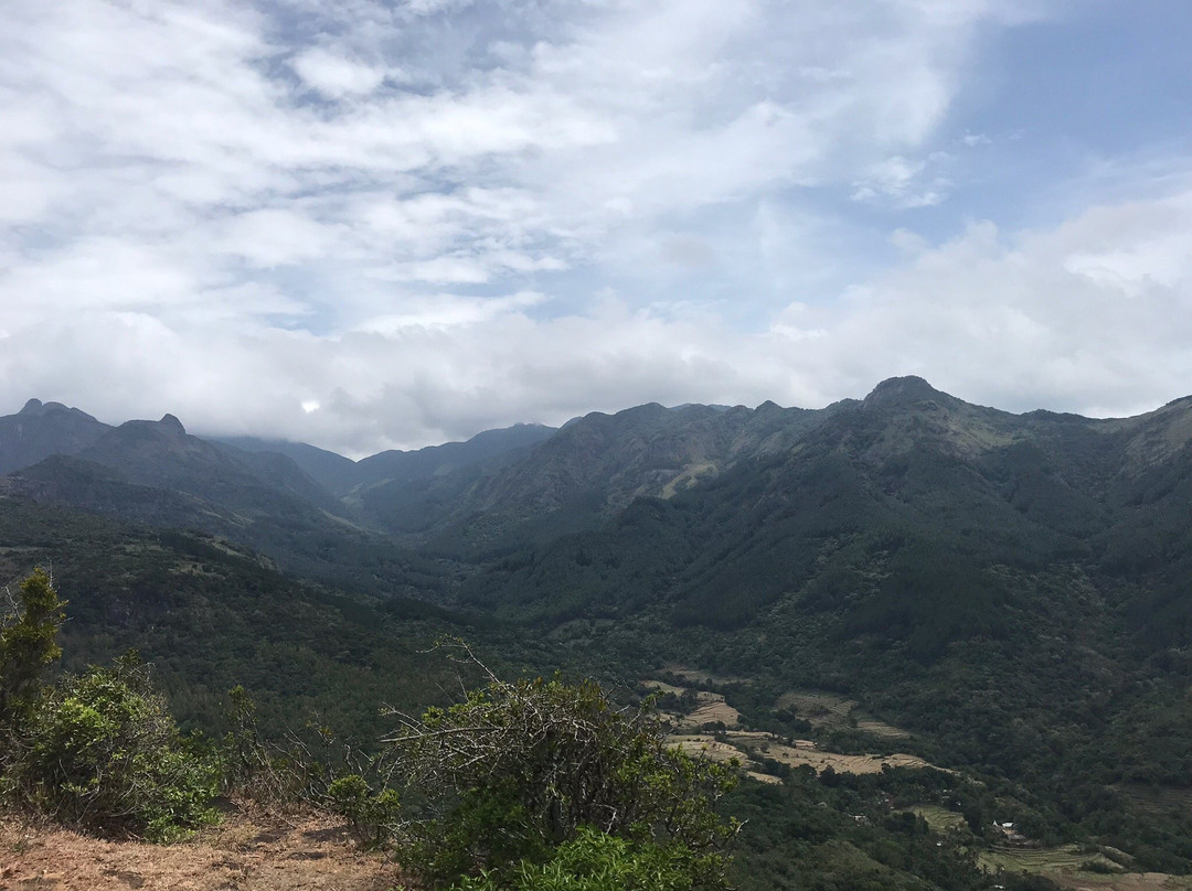 Grand Stargate主图