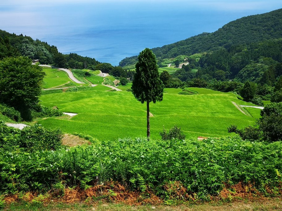 Iwakubi Shoryu Tanada-佐渡市必去景点