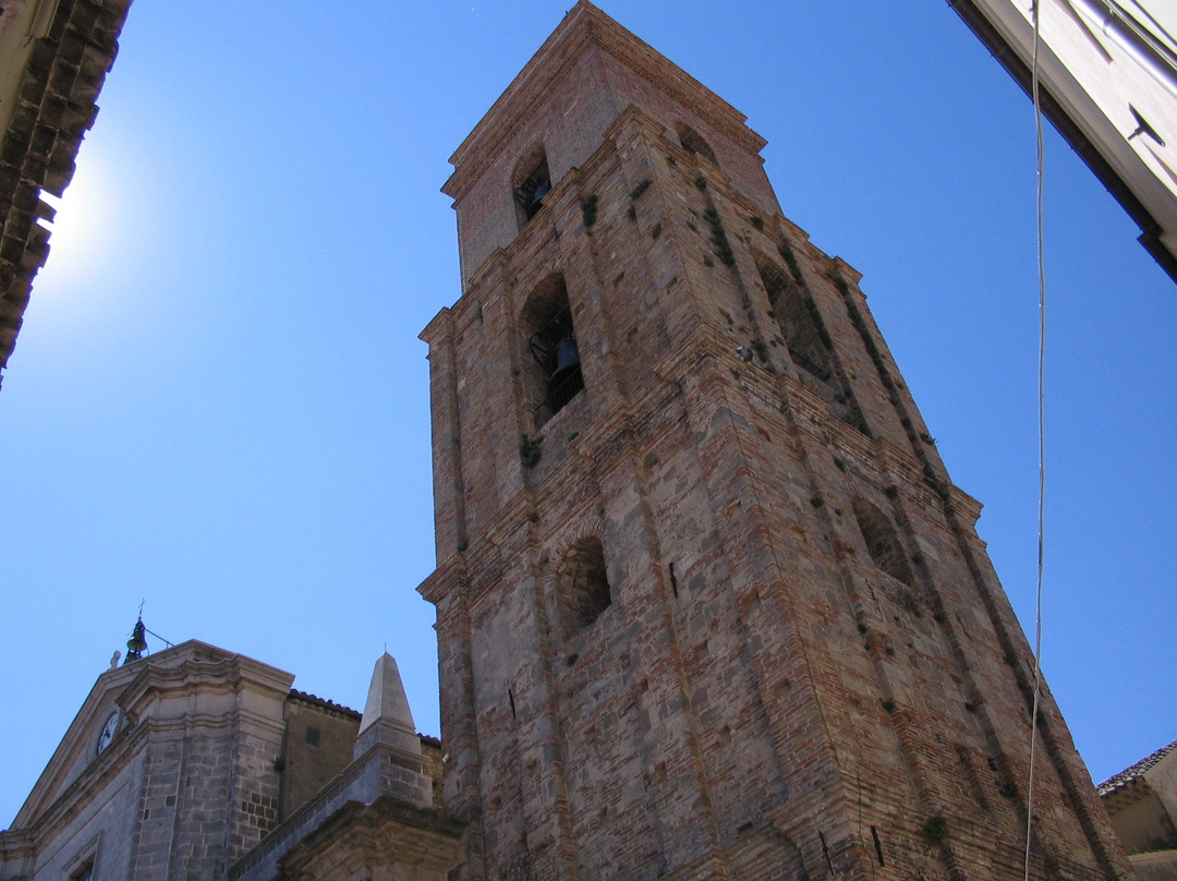 Cattedrale di San Pardo景点图片
