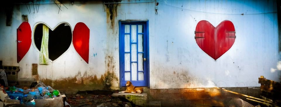 Clique Photography-Palmar必去景点