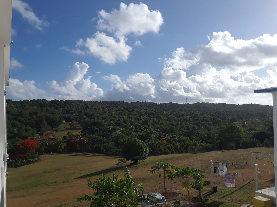 Great Escape Bed & Breakfast Inn主图