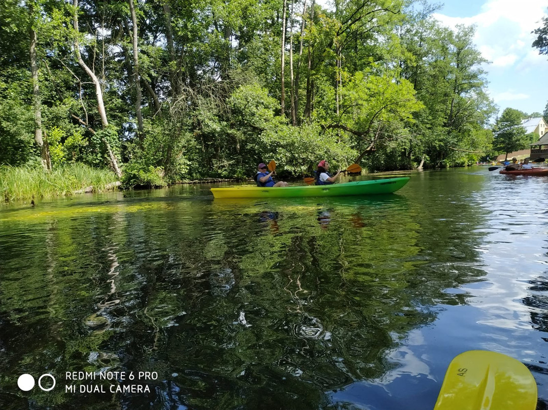 As Tours - Kayak Expeditions & Rental景点图片