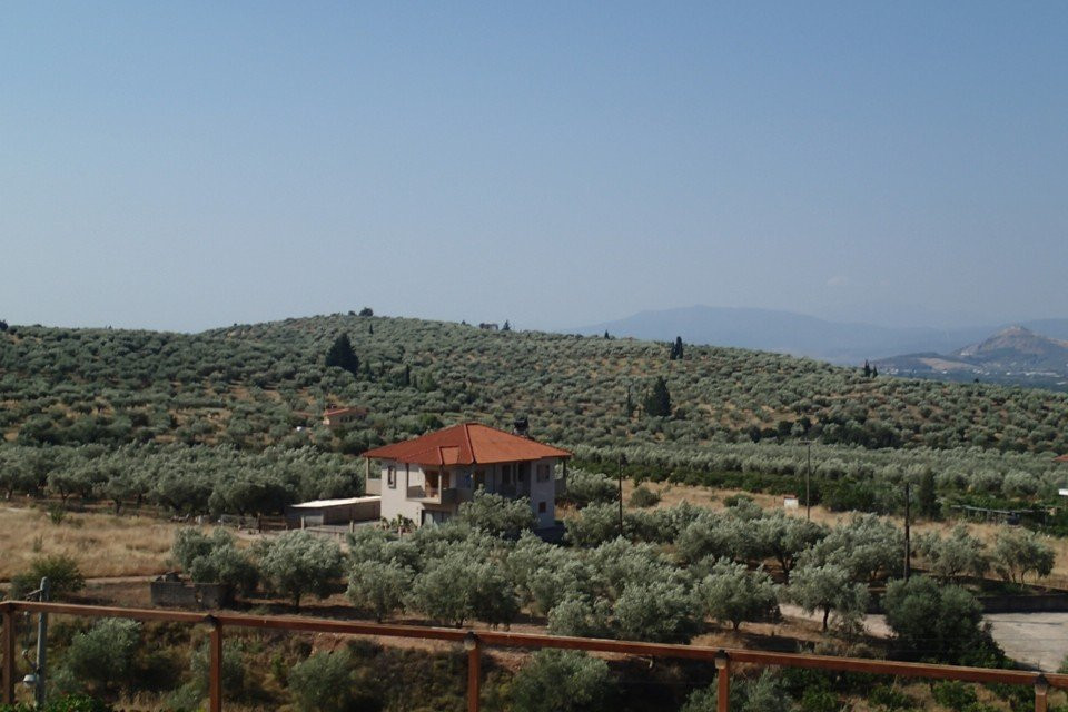 La Petite Planete主图