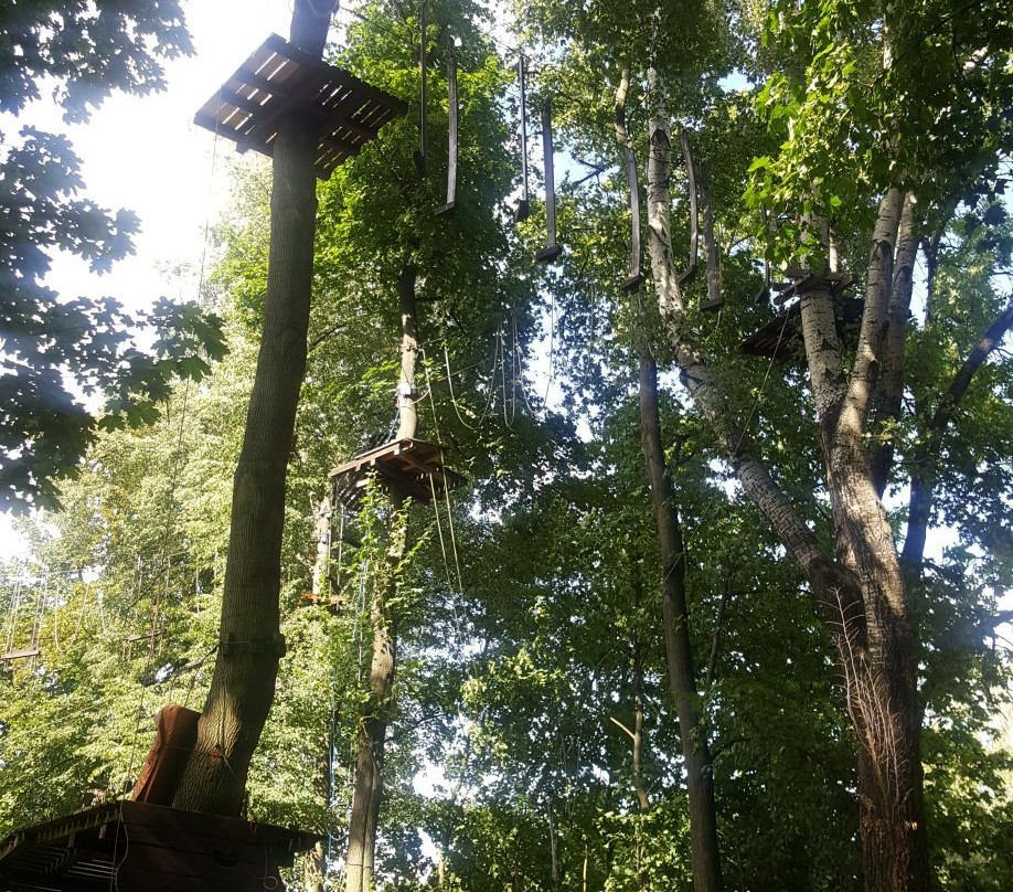 Cascader Rope Course Park景点图片