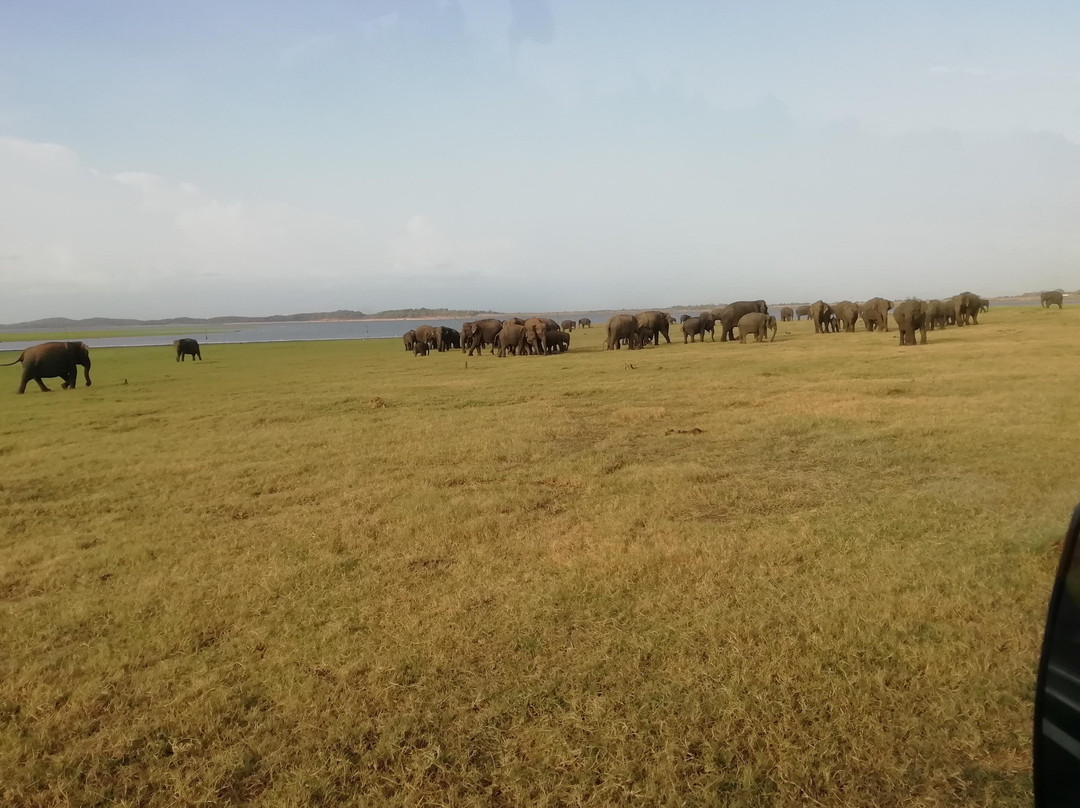 My Trip To Sri Lanka-哈巴拉娜必去景点