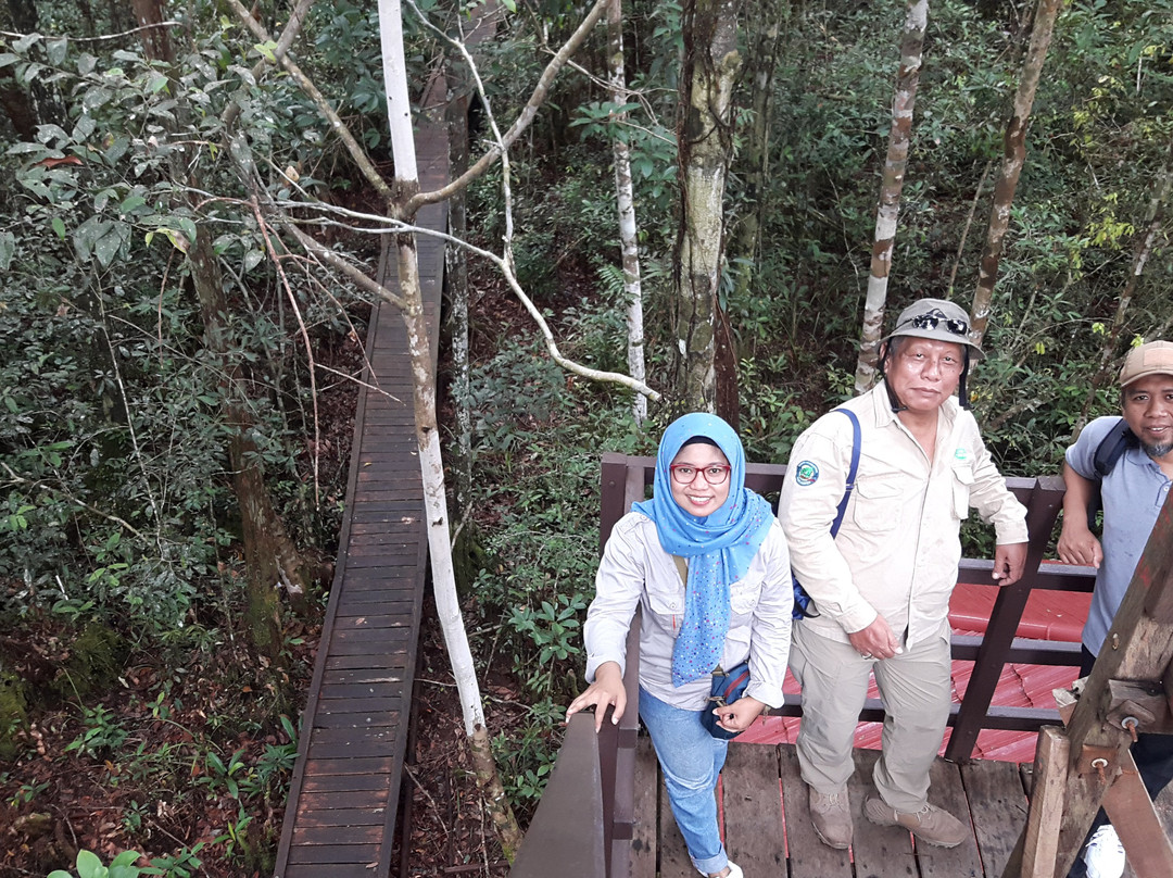 Sebangau National Park Central Kalimantan-帕朗卡拉亚必去景点