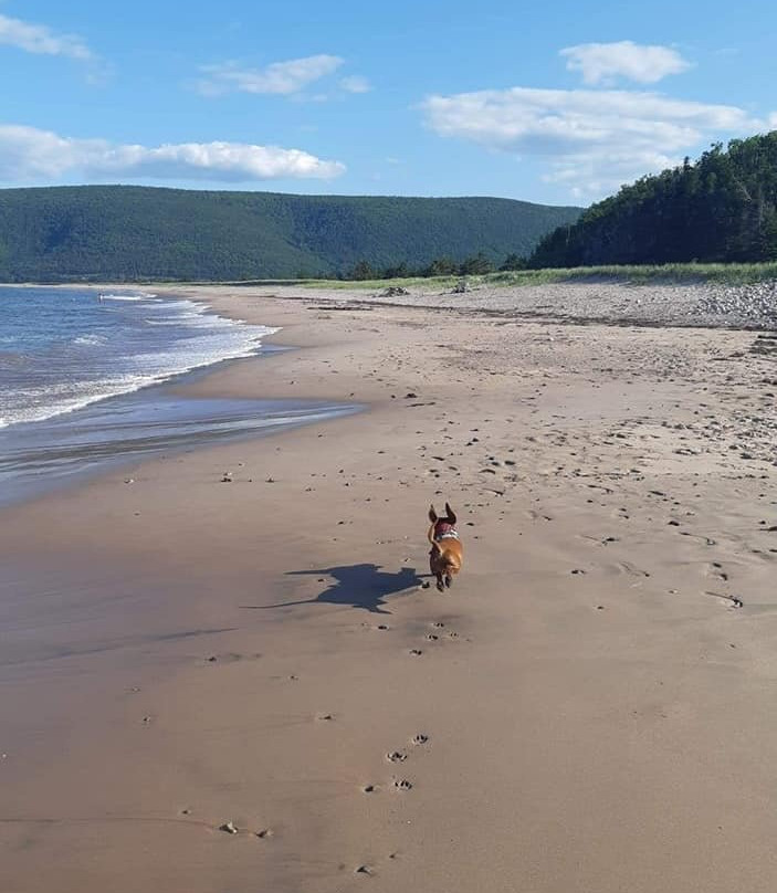 Hideaway Campground & Oyster Market主图