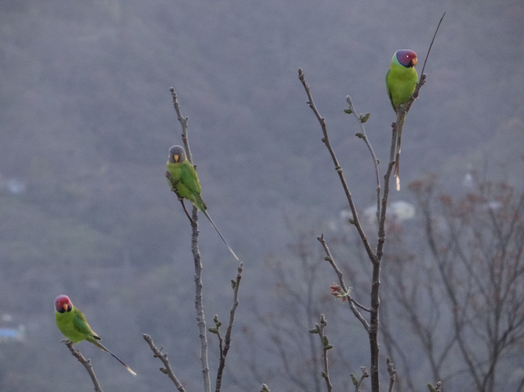 Alcor Spa Resorts主图