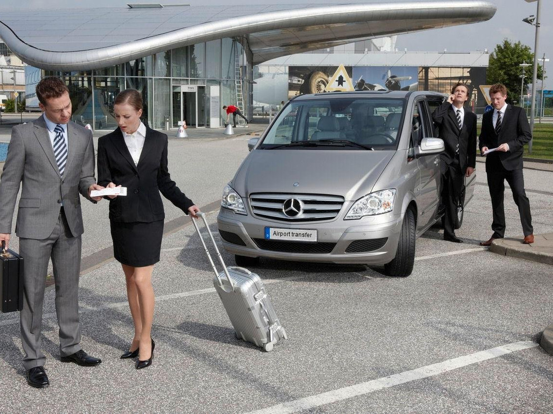 Sunbike Driver - Tours & Transport Services on the French Riviera-尼斯必去景点