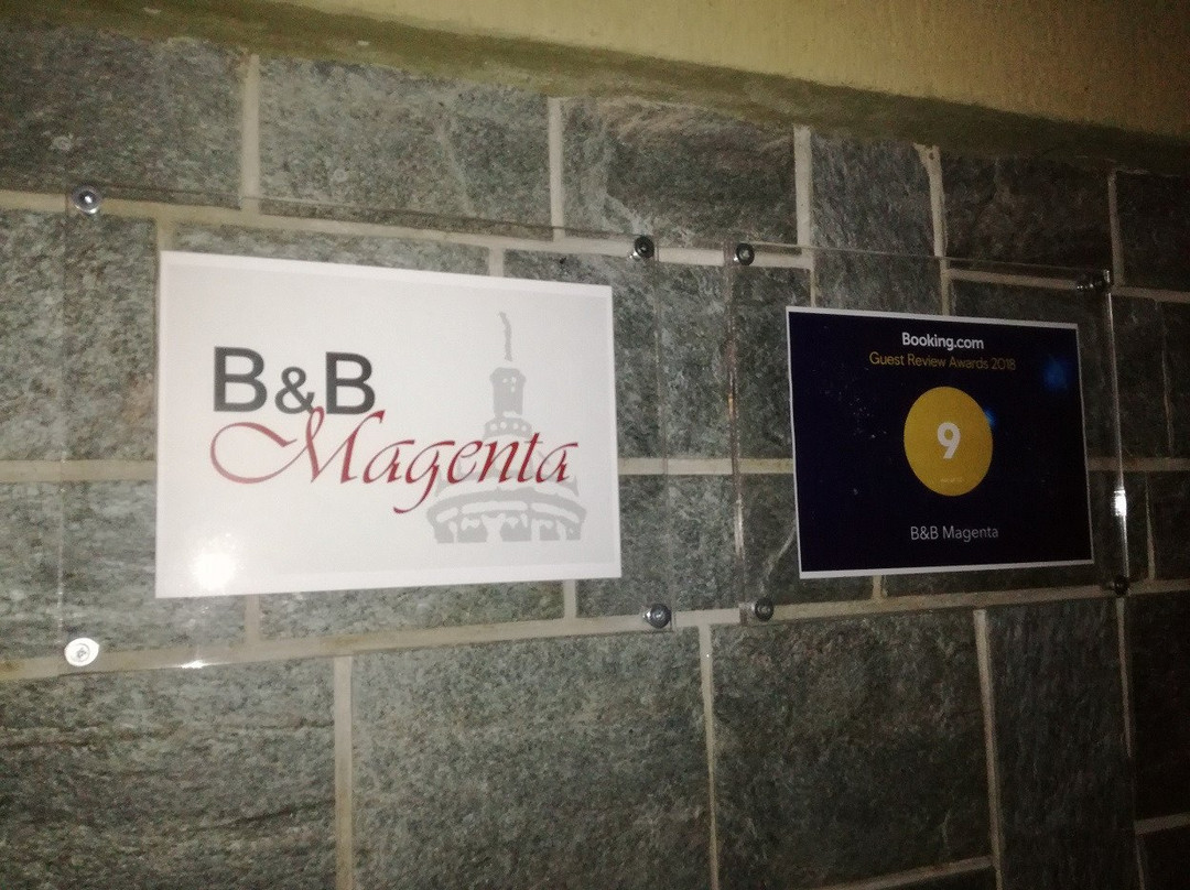 B&B Magenta主图