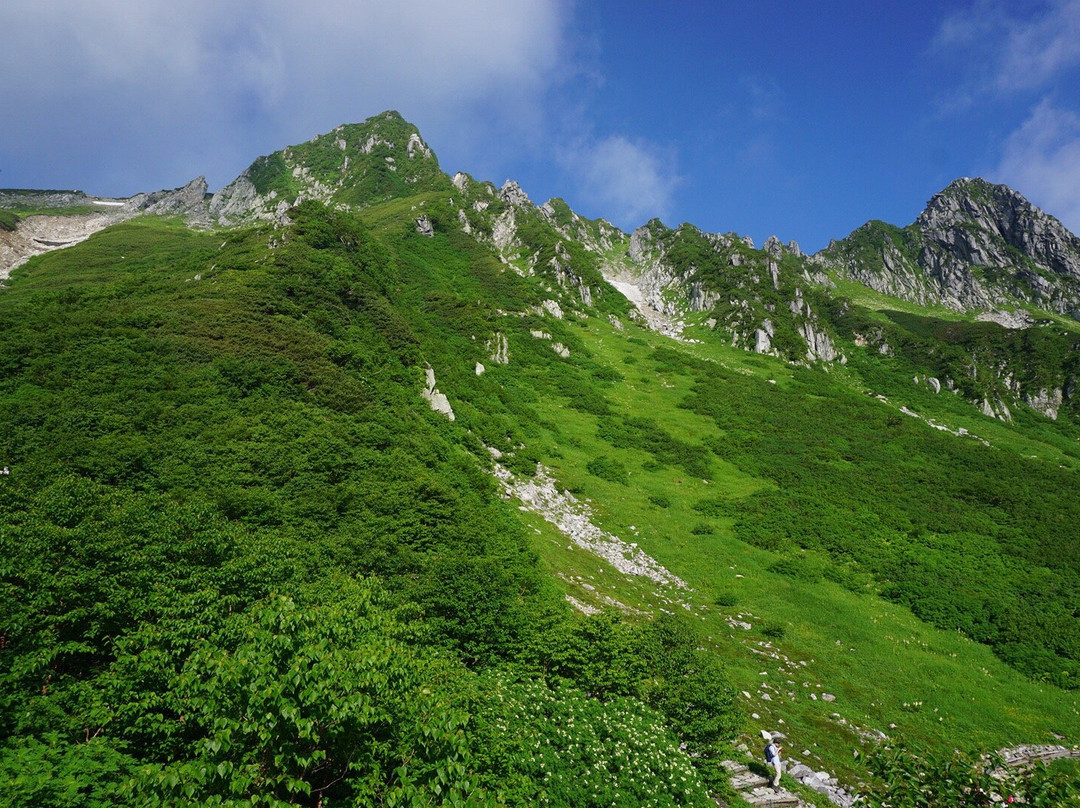 Chuo Alps Kanko Bus景点图片