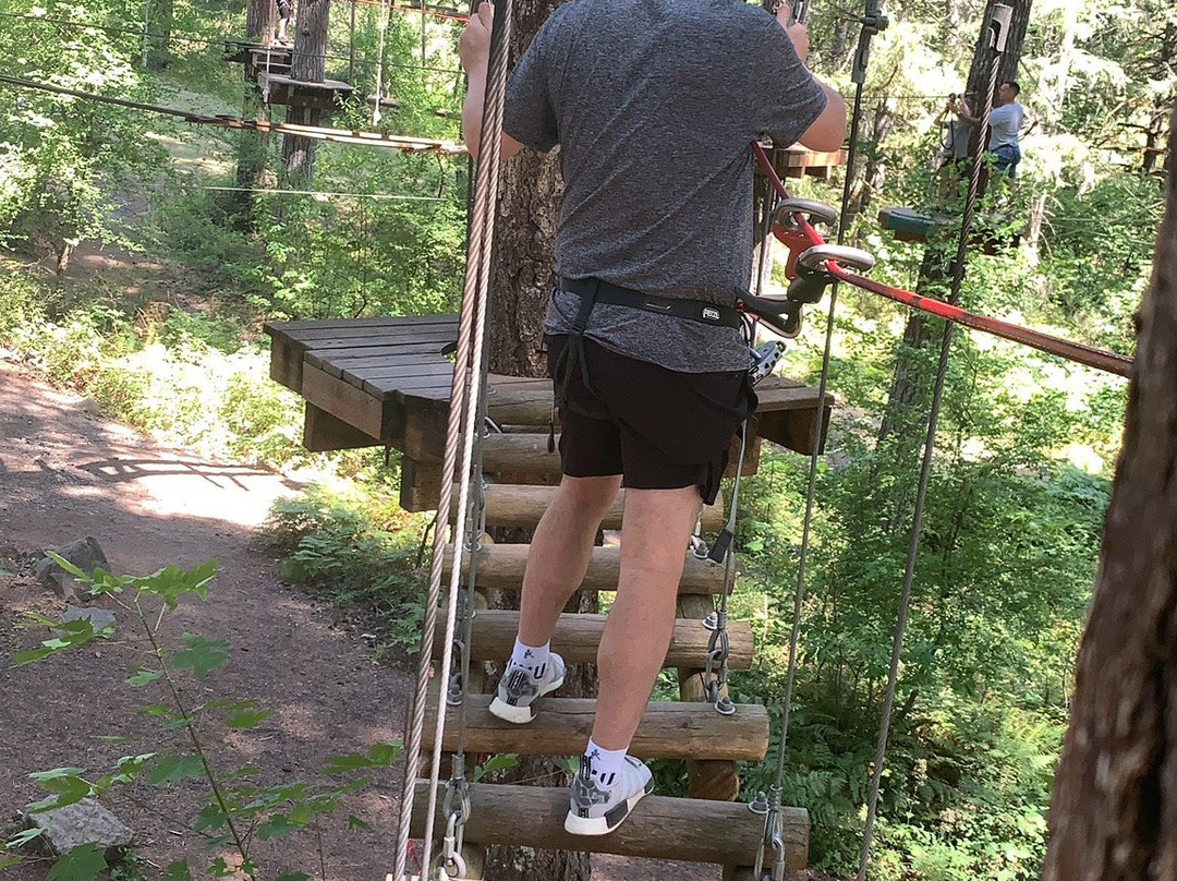 Tree to Tree Adventure Park景点图片