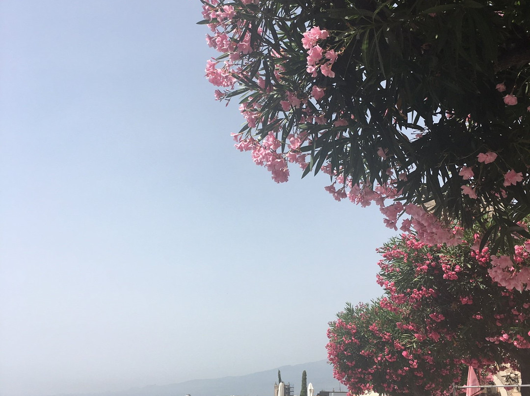 Corso Umberto-陶尔米纳必去景点