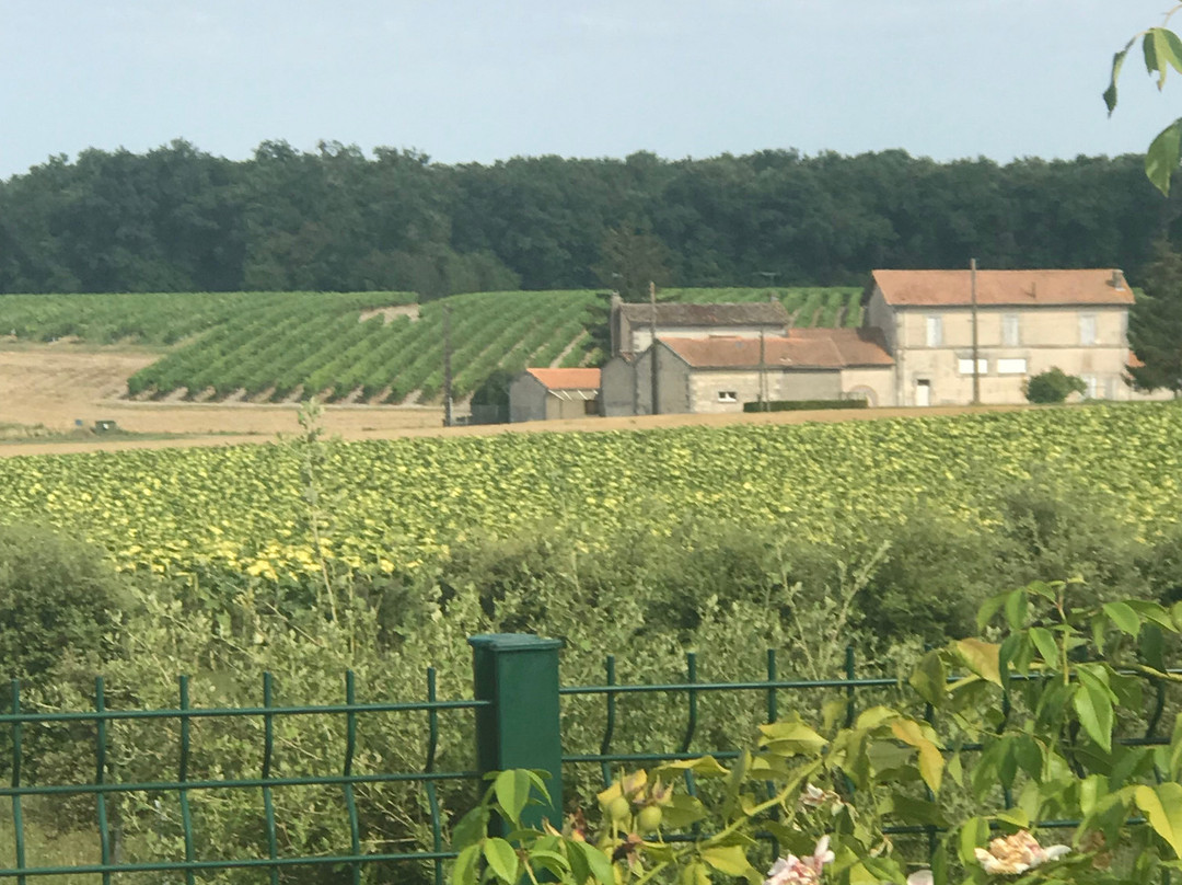 Les Belles Dormantes主图