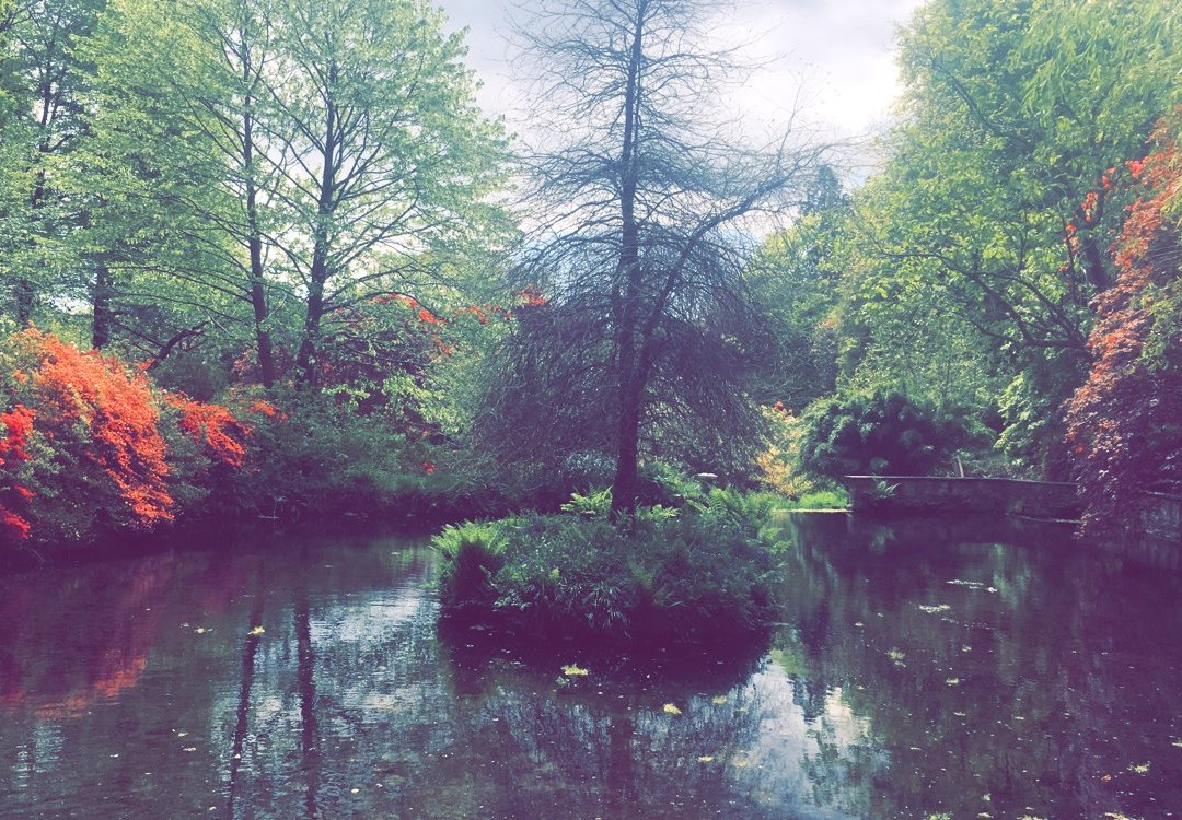 Lukesland Gardens-Ivybridge必去景点