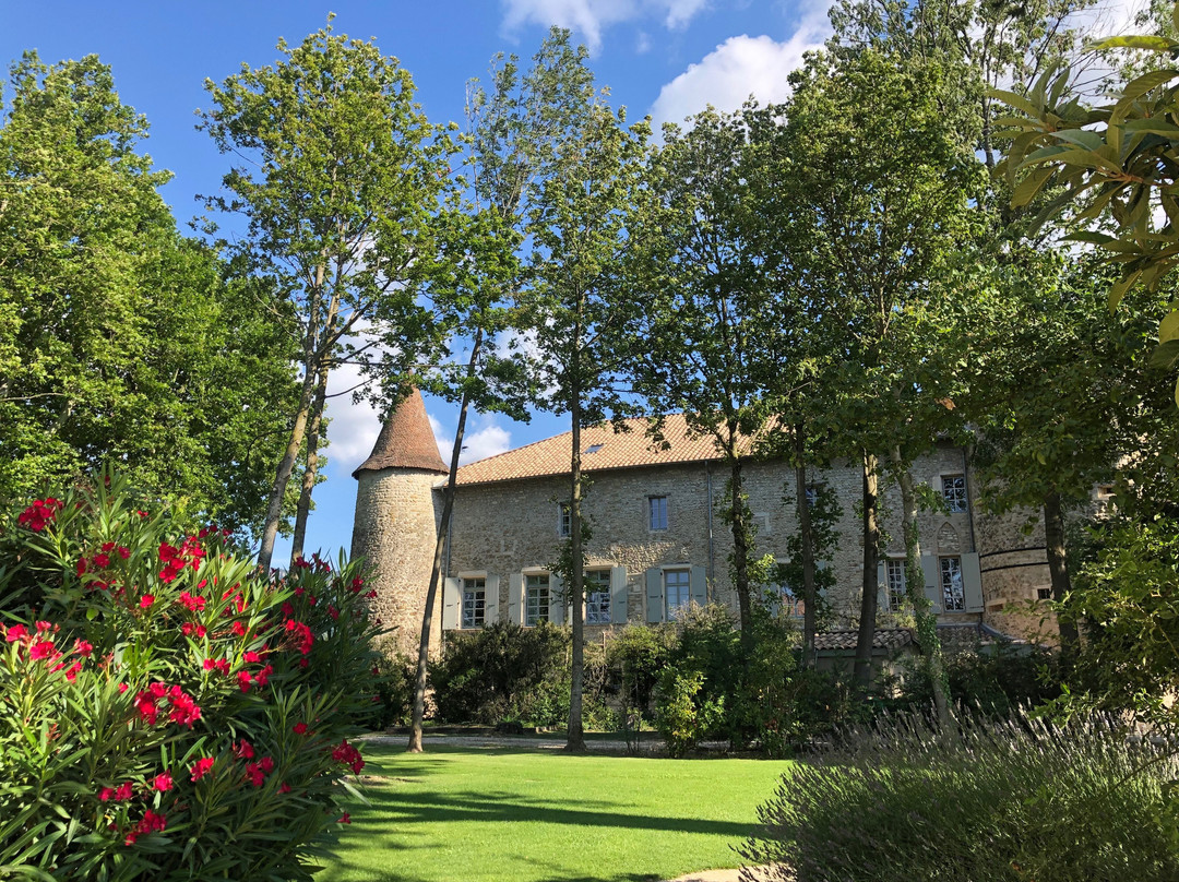Château Les Oliviers De Salettes主图