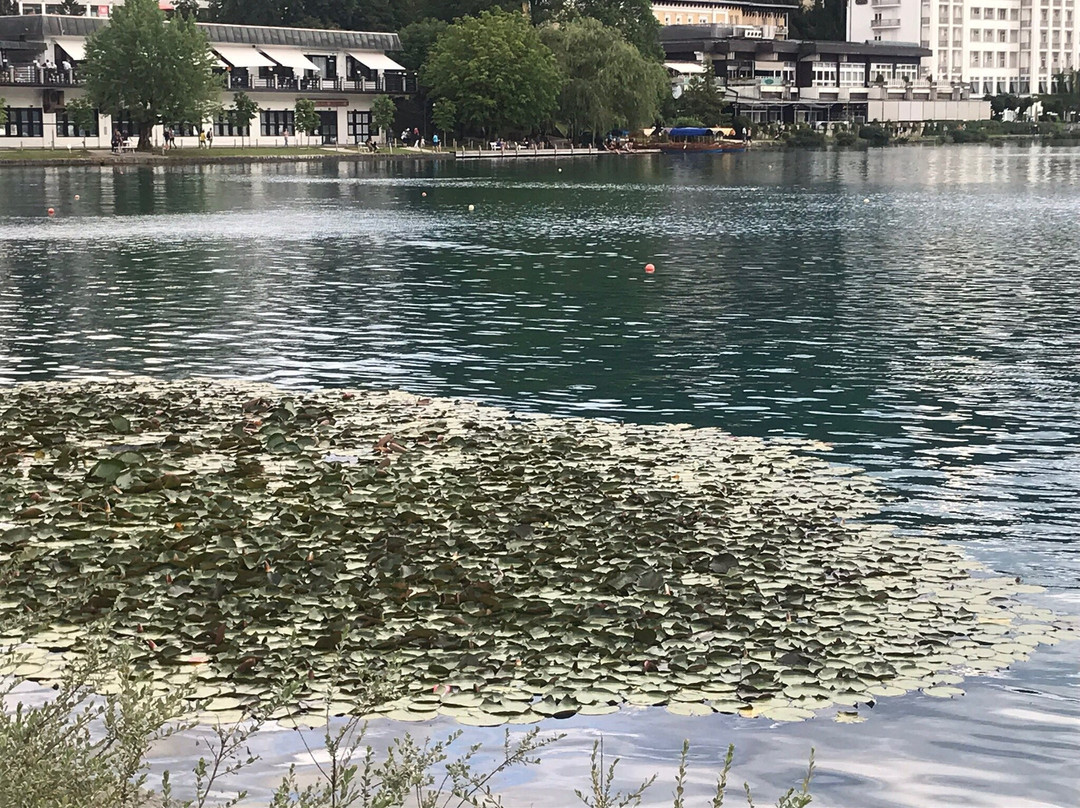 Zdraviliški Park (Spa Park)-布莱德必去景点