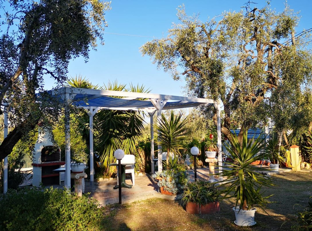 B&B Uliveto Del Gargano主图