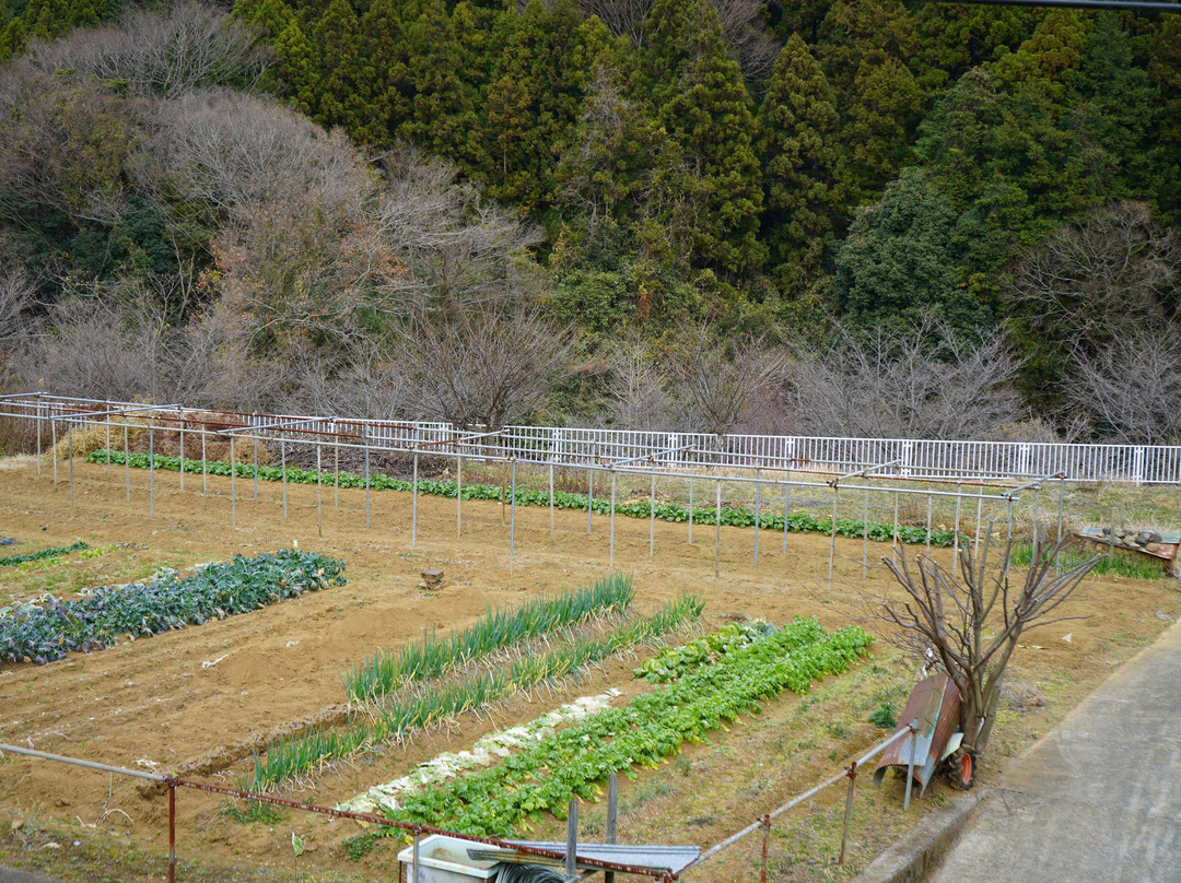 Koayu River-厚木市必去景点
