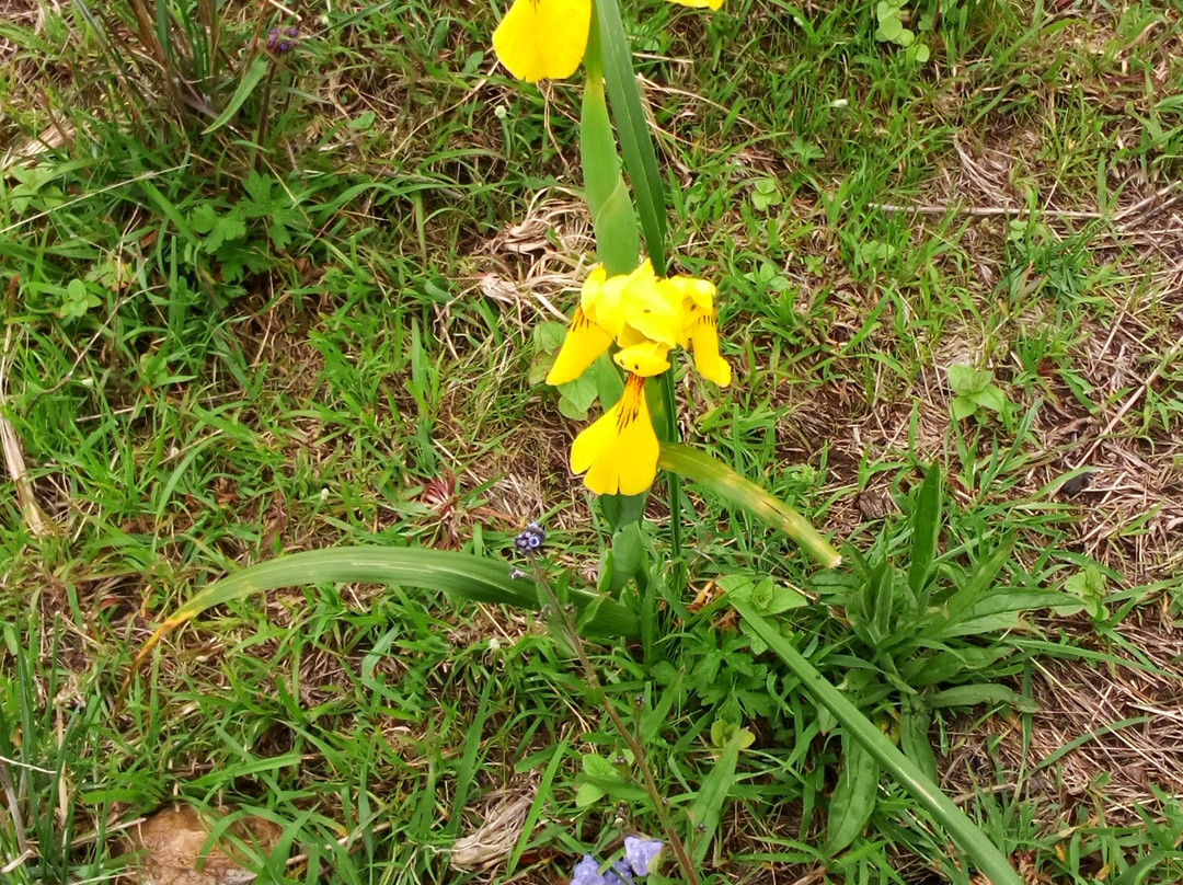 Kitulo National Park-Makete必去景点