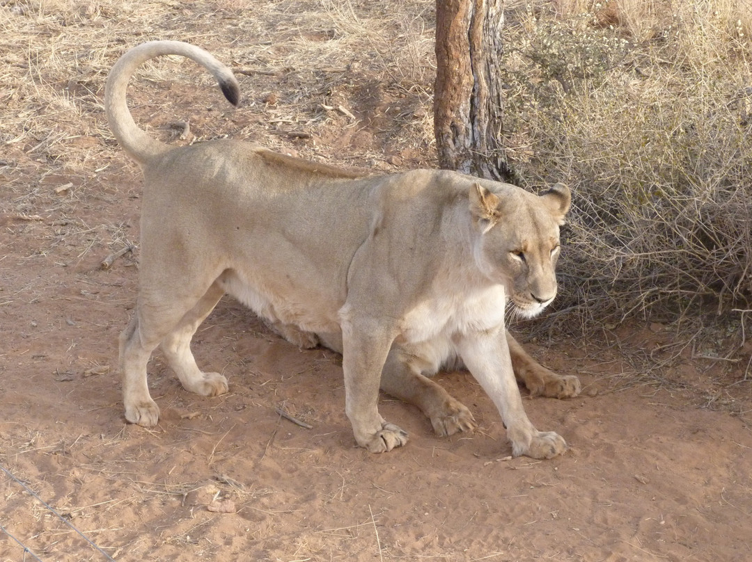 Naankuse Wildlife Sanctuary