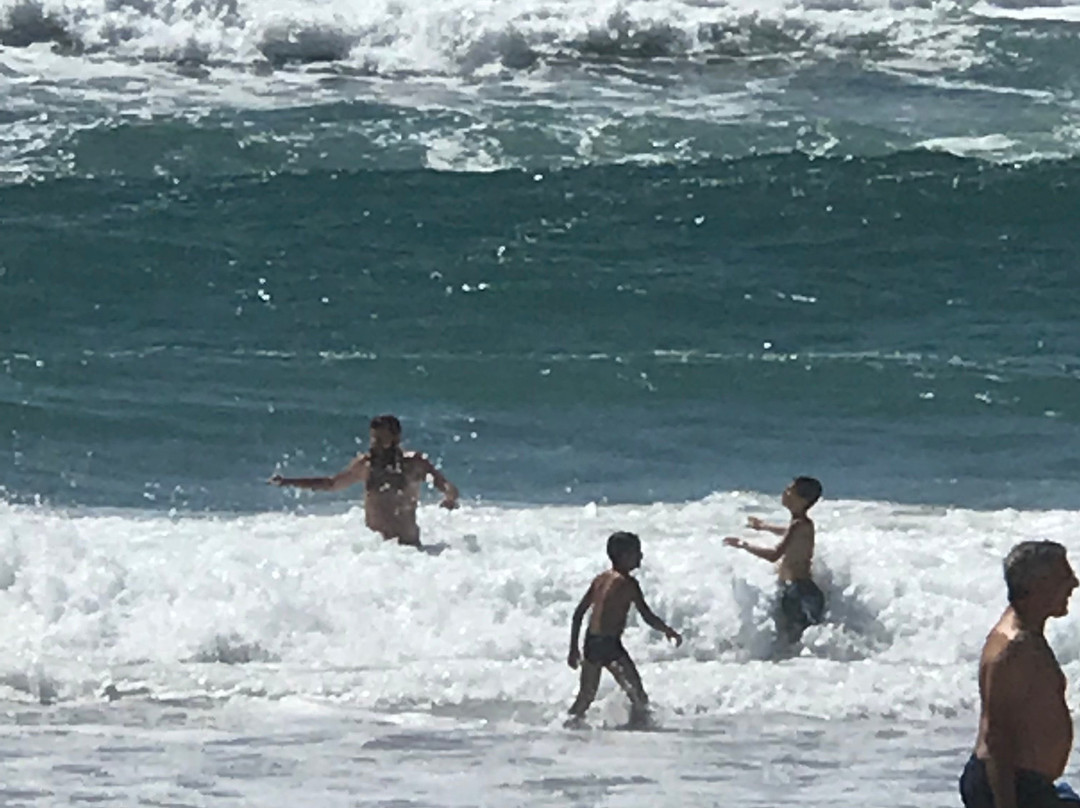 Praia dos Palheiros da Tocha景点图片