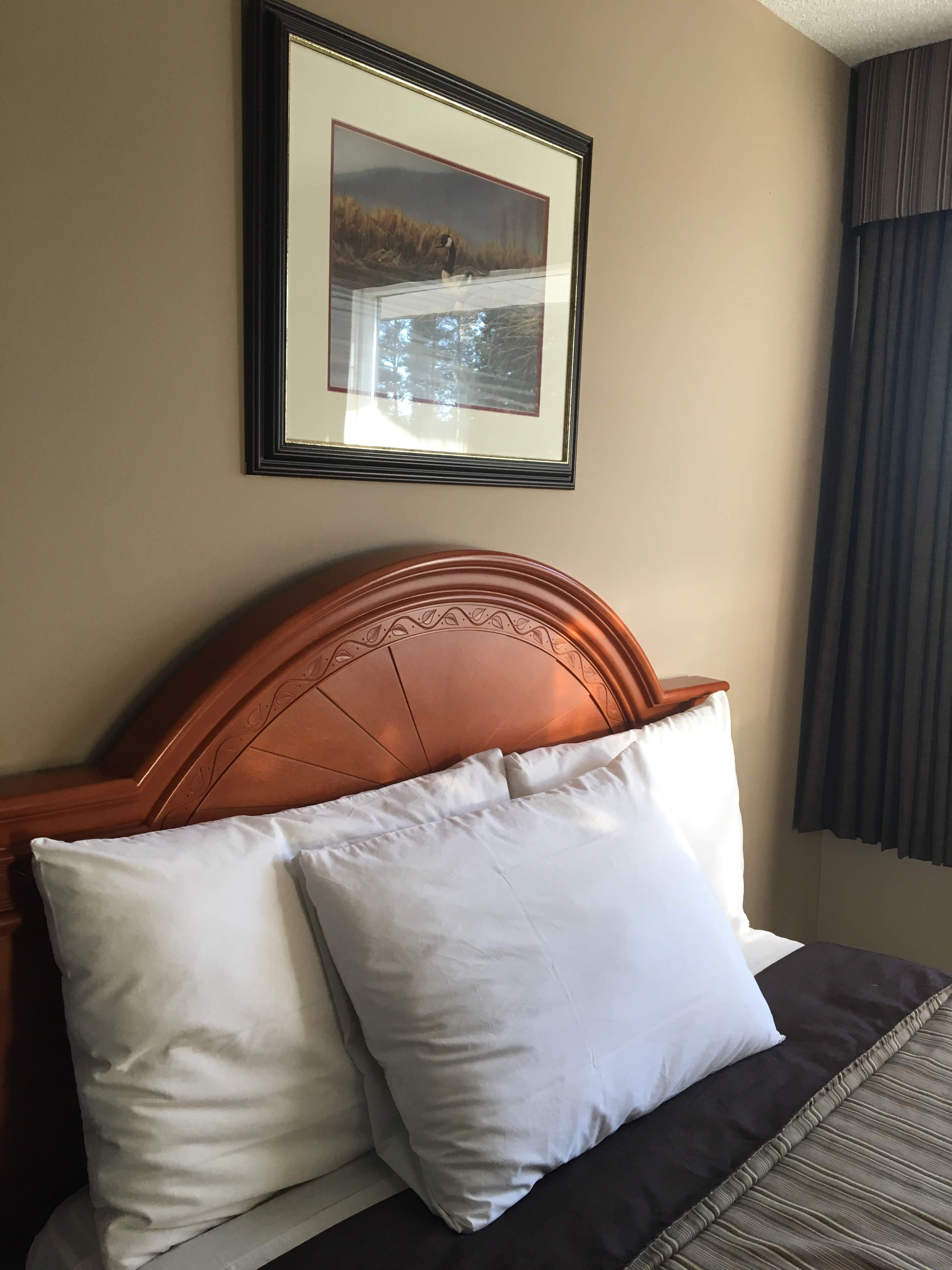 Angus Inn-官方