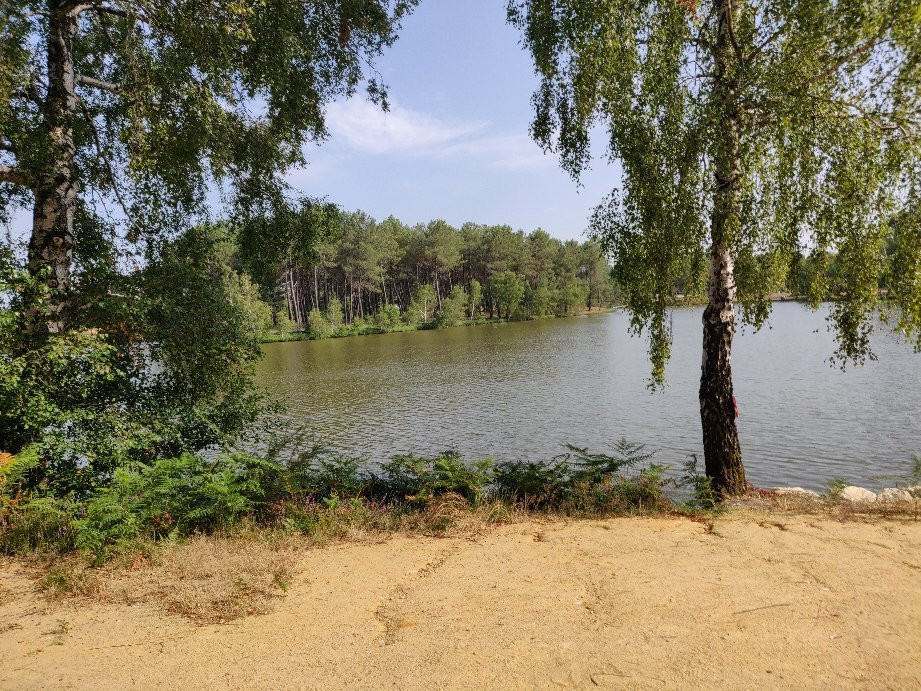 Base De Loisirs Du Lac Baron-Desqueyroux景点图片