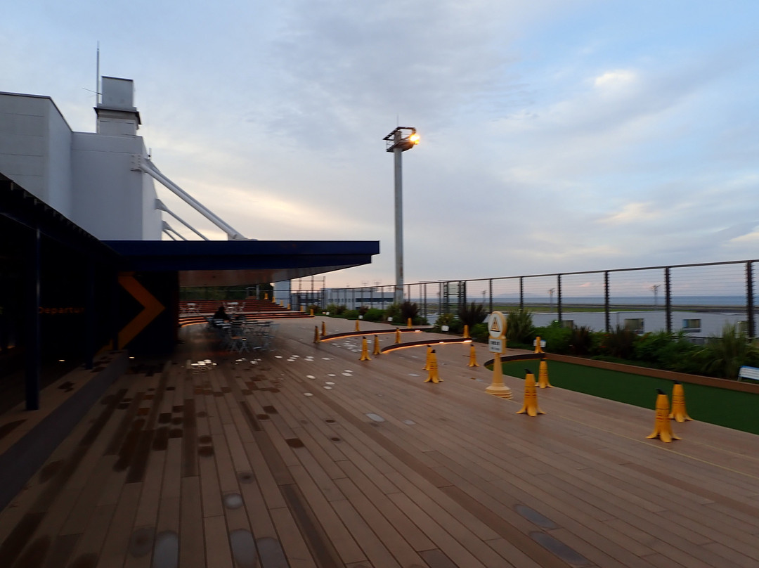 Oita Airport Observation Deck-国东市必去景点