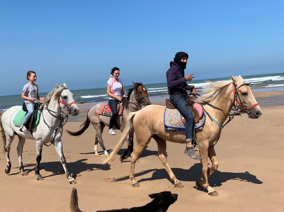 Ranch Mogador-索维拉必去景点