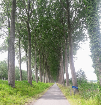 ToursByLocals-布鲁塞尔必去景点