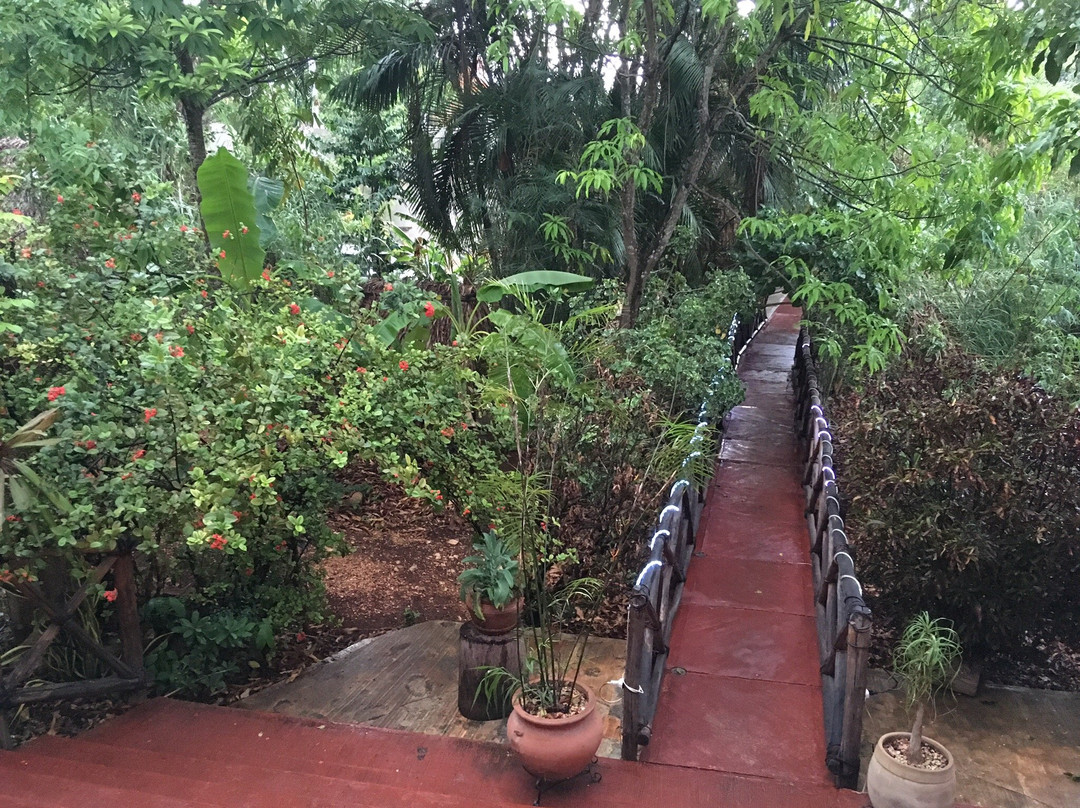 卡萨哈姆艾卡宾馆主图