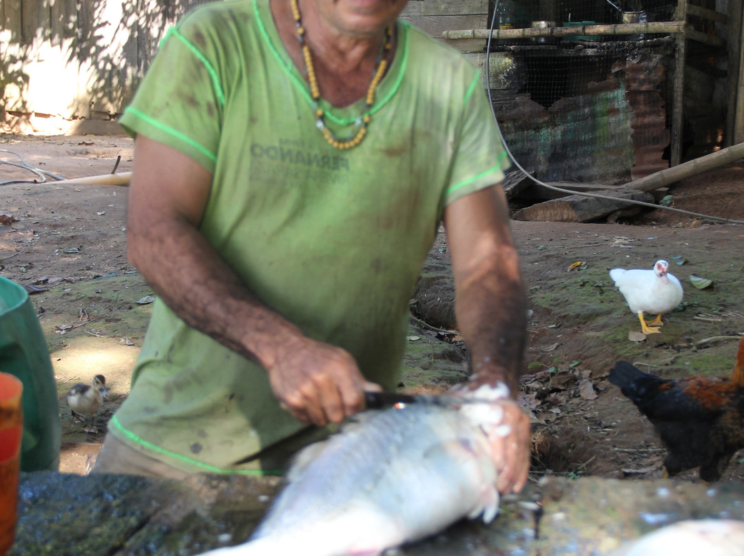 Raudales Rio Guayabero-La Macarena必去景点