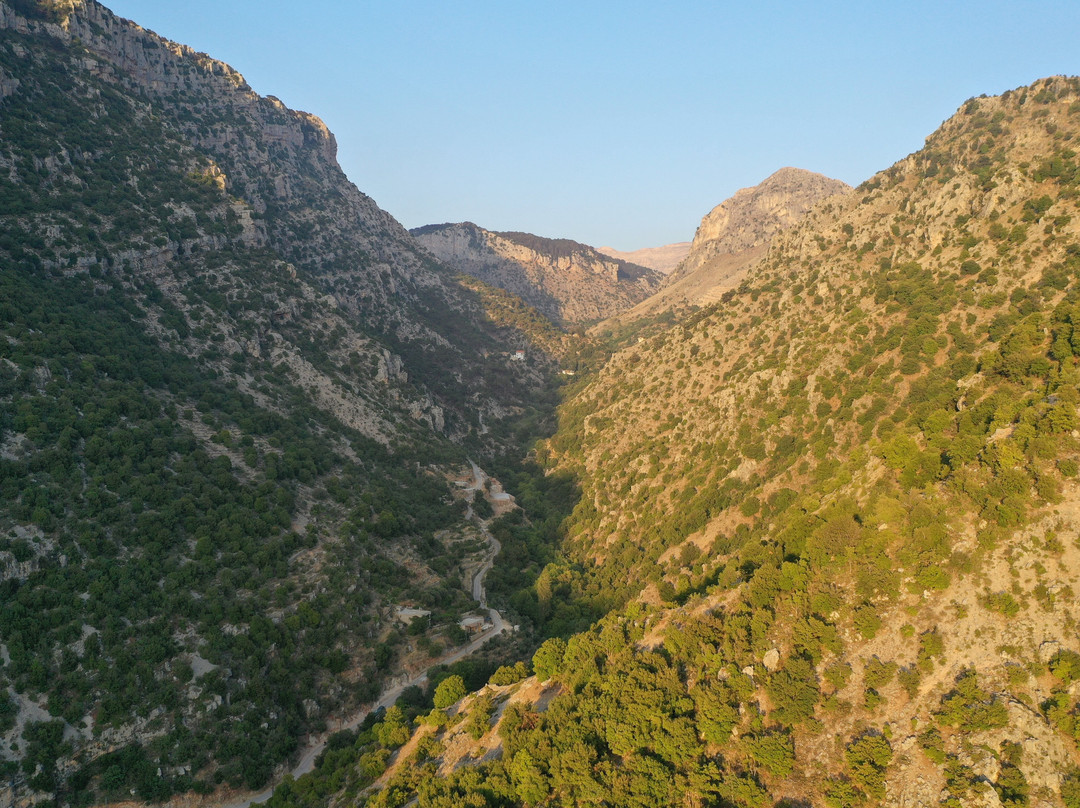 Joz Tannourine