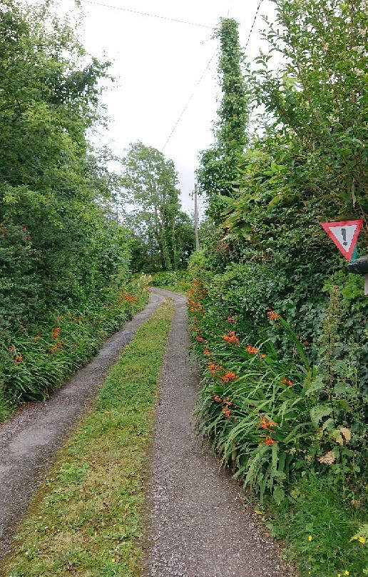 Shandrum Lodge