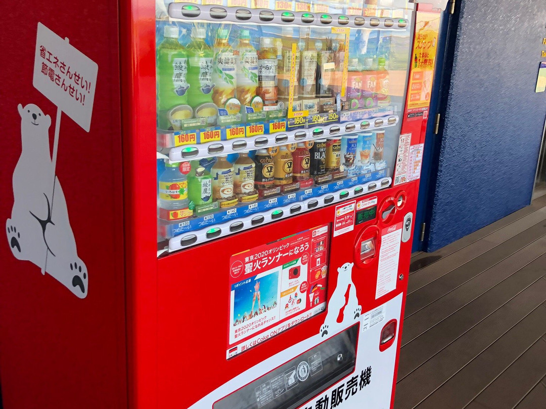 Oita Airport Observation Deck-国东市必去景点