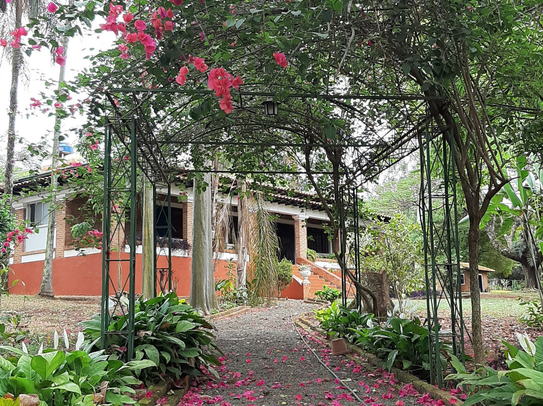 Fazenda Santa Clementina