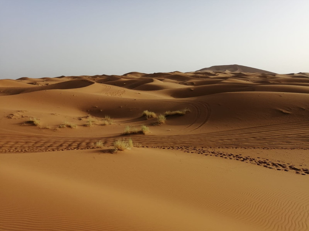Camel Trek Bivouac-梅如卡必去景点