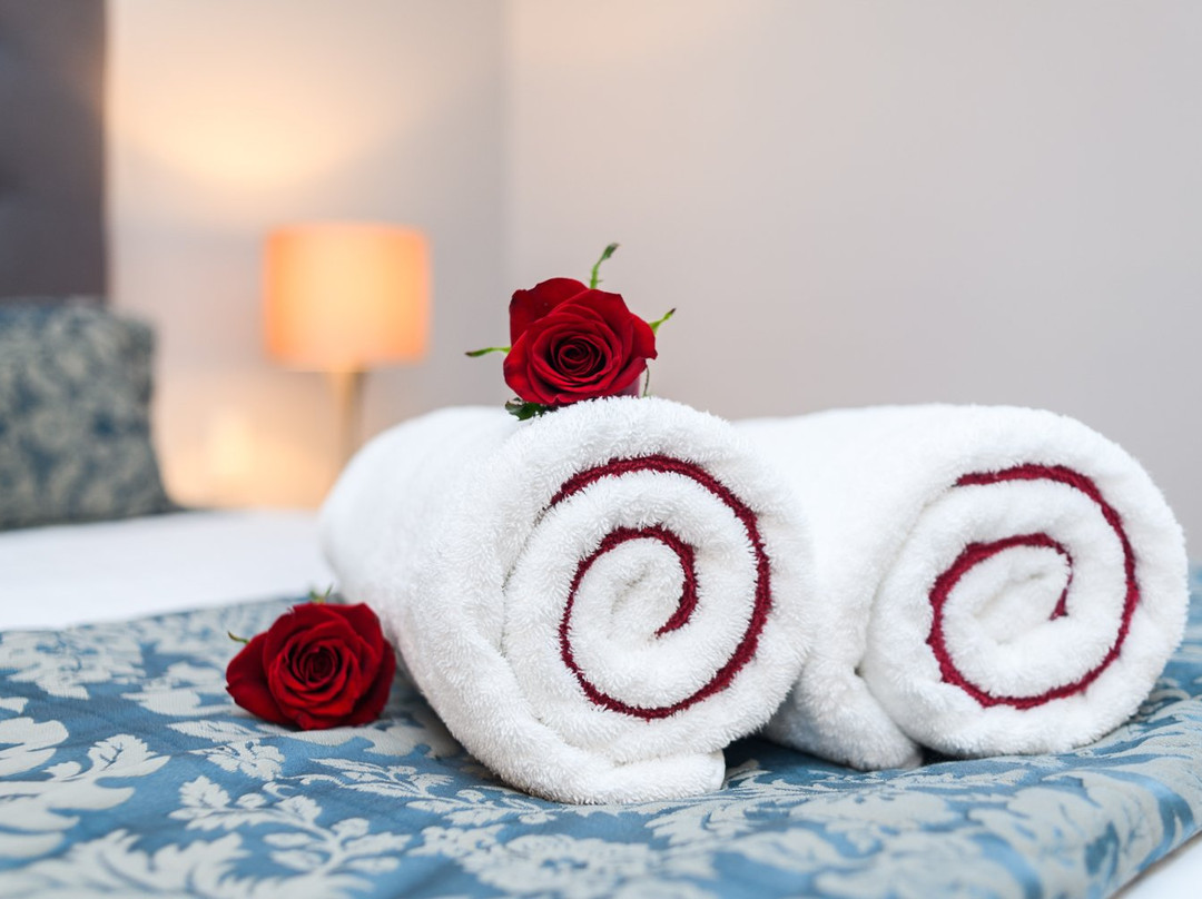 北帕墨斯顿酒店住宿-奥宾法院汽车旅馆