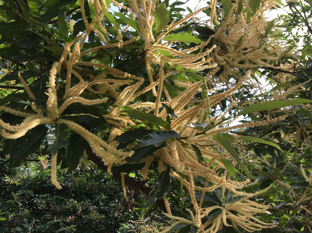 Sentiero della mela-Naz-Sciaves必去景点