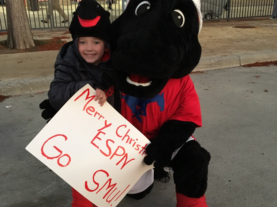 Toyota Stadium-弗里斯科必去景点