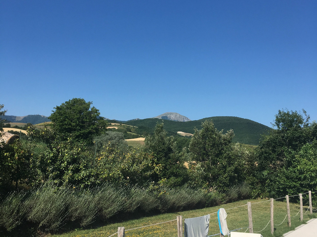 Le Perelle Agriturismo主图