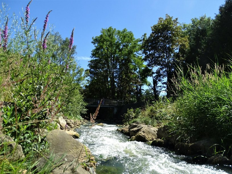 Lac de la Sangsue-Briey必去景点