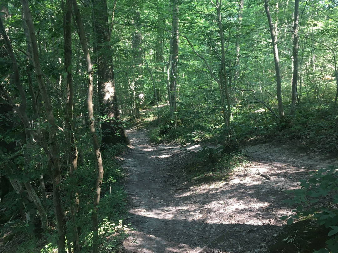 Le Caillou-qui-bique-Quievrain必去景点